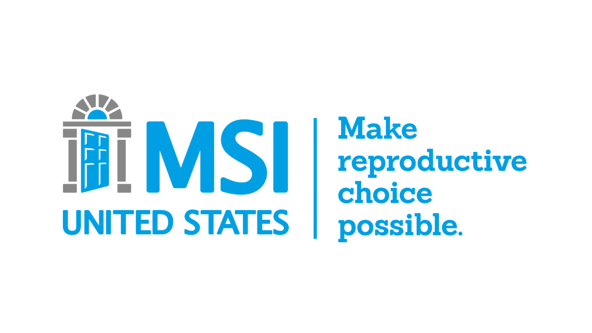 MSI Reproductive Choices Logo