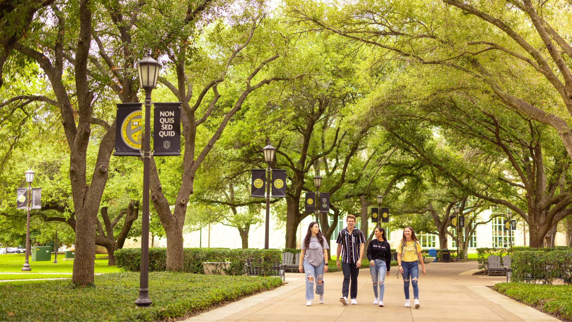 Four college students walk through a college campus under a canopy of trees.